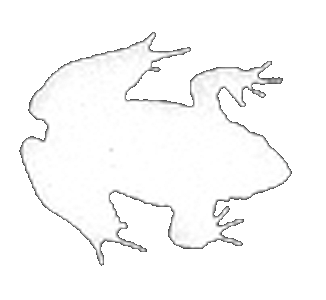 snake-like species