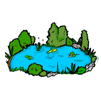 Pond Information