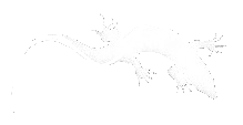 snake-like species