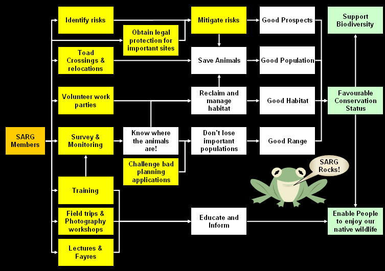 Flowchart of SARG activities