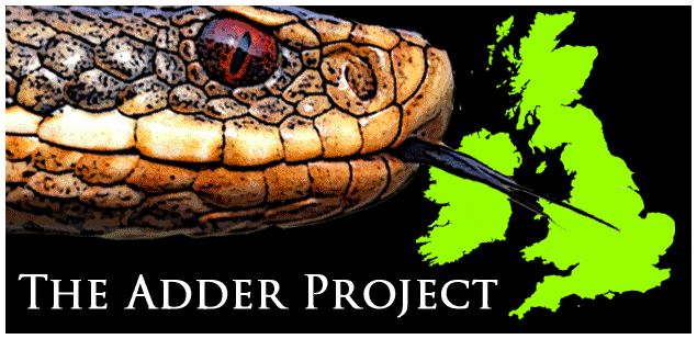 The Adder Project