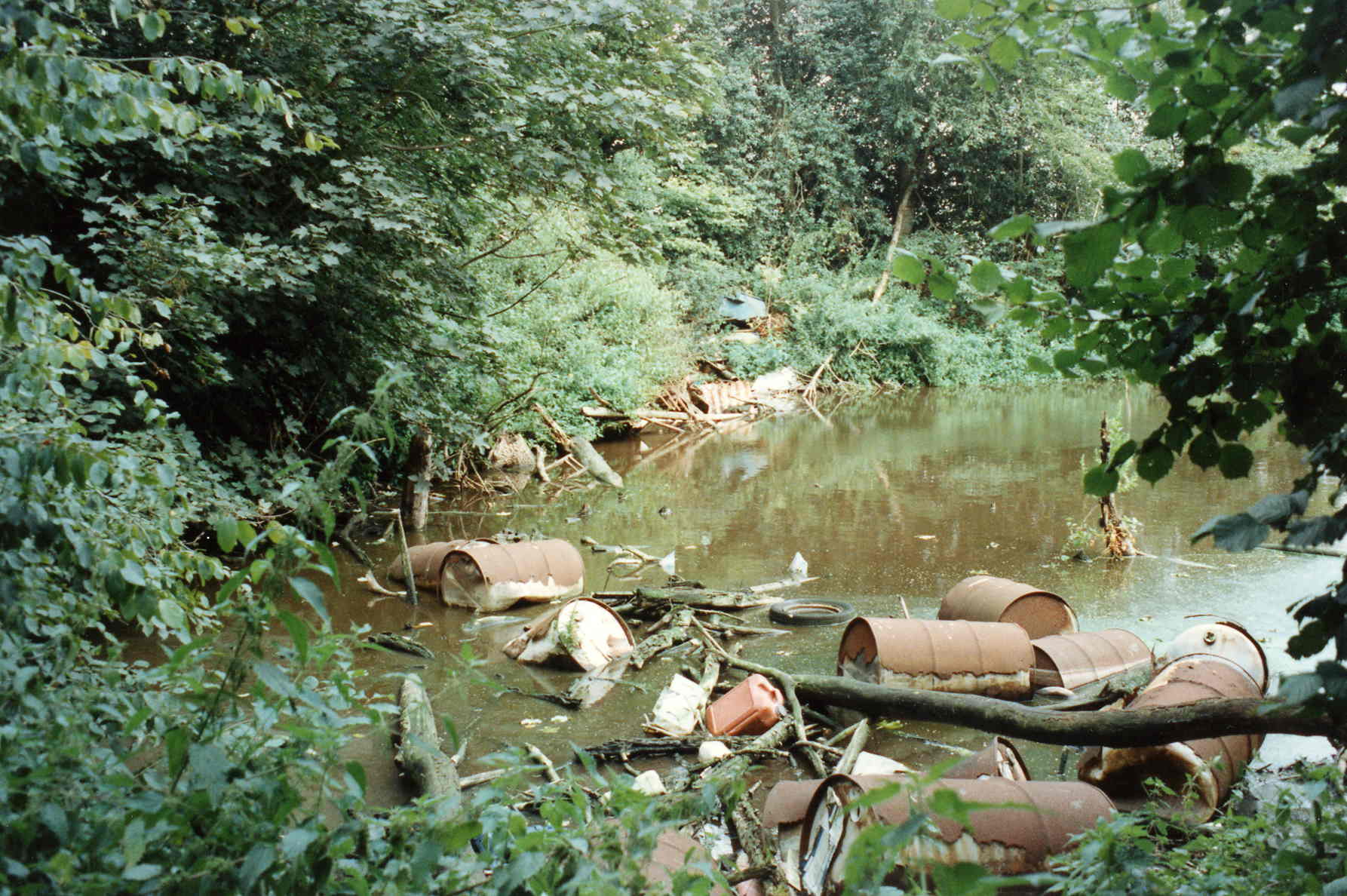 picture showing pond pollution needed here